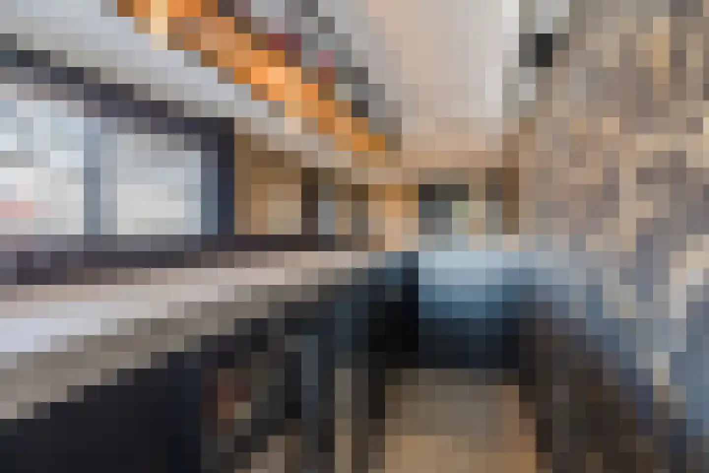 Kadedijk 56 Fijnaart thumbnail 45