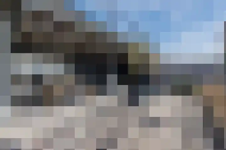 Kadedijk 56 Fijnaart thumbnail 46