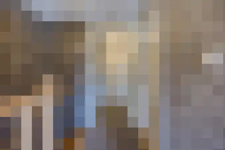 Kadedijk 56 Fijnaart thumbnail 47