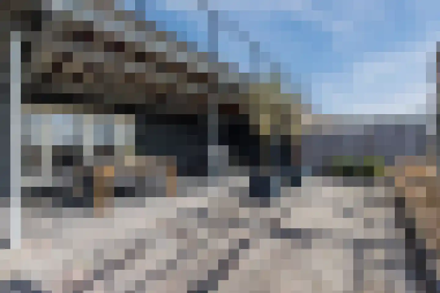 Kadedijk 56 Fijnaart thumbnail 47