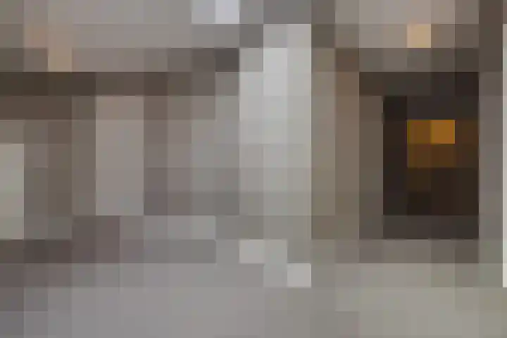 Kadedijk 56 Fijnaart thumbnail 48