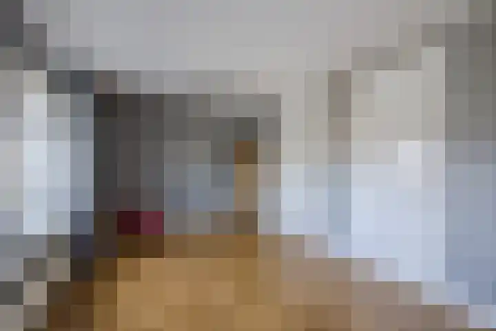 Kadedijk 56 Fijnaart thumbnail 52
