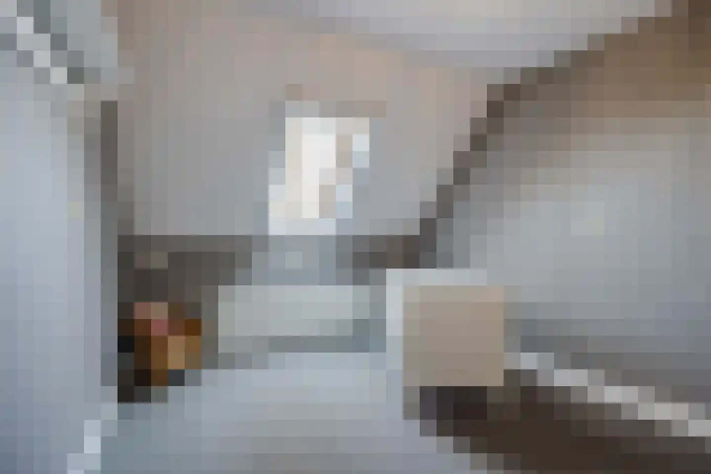 Kadedijk 56 Fijnaart thumbnail 58