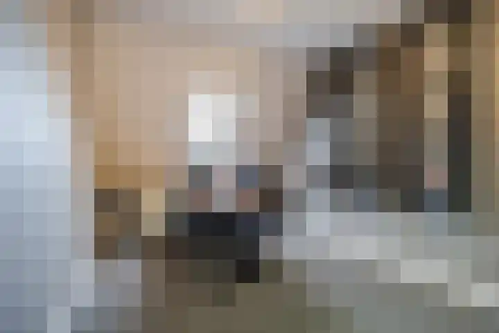 Kadedijk 56 Fijnaart thumbnail 61