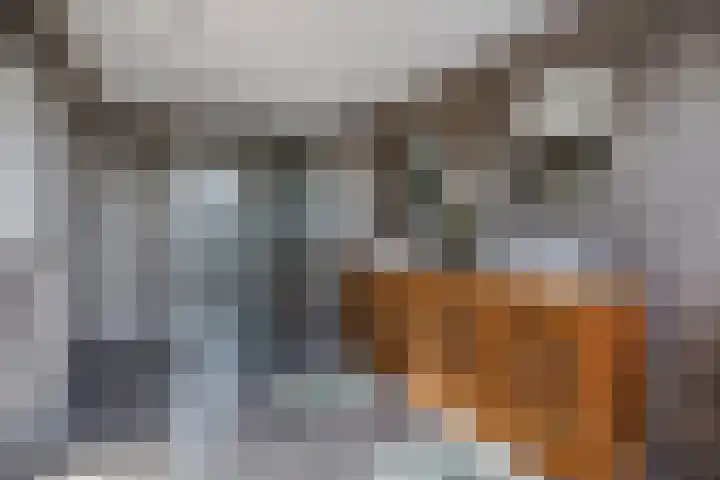 Kadedijk 56 Fijnaart thumbnail 70