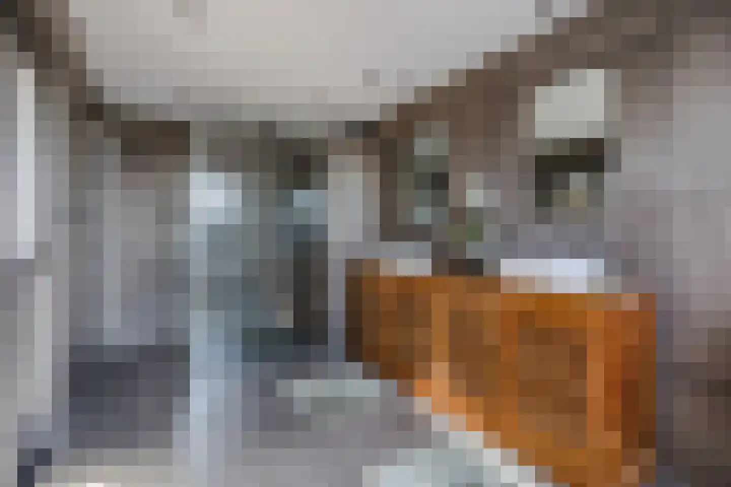 Kadedijk 56 Fijnaart thumbnail 71