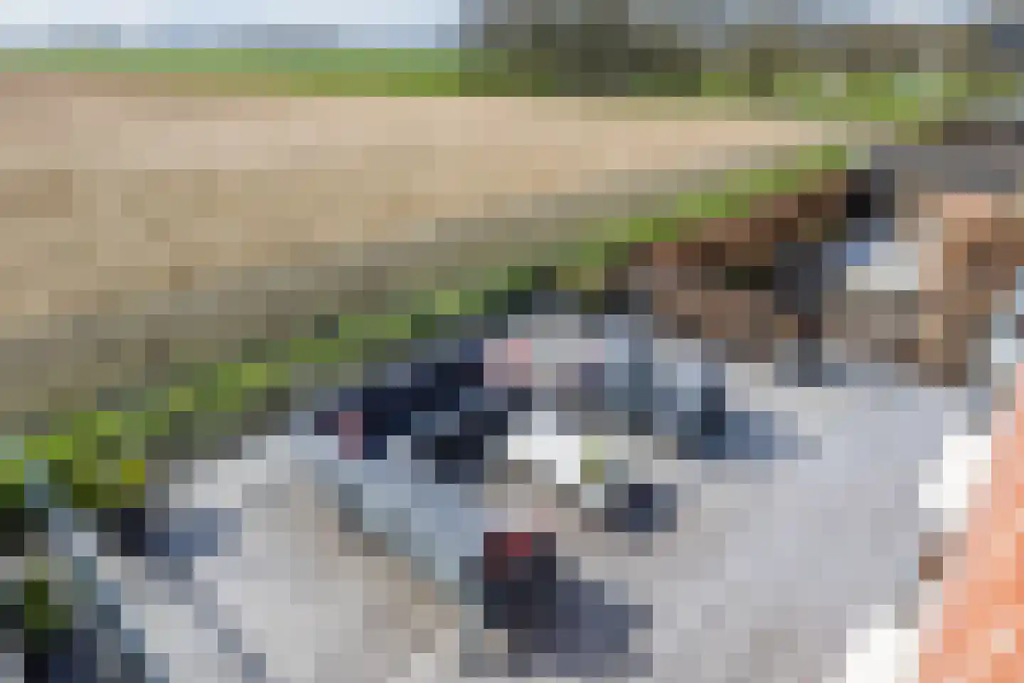 Kadedijk 56 Fijnaart thumbnail 76