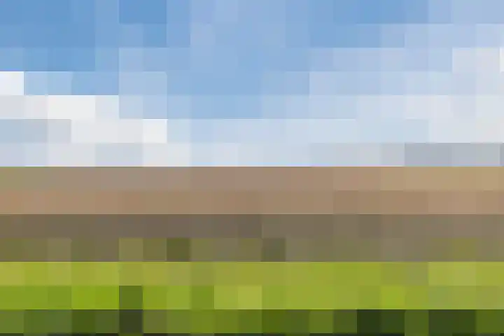 Kadedijk 56 Fijnaart thumbnail 76