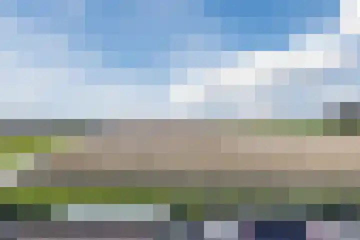 Kadedijk 56 Fijnaart thumbnail 88