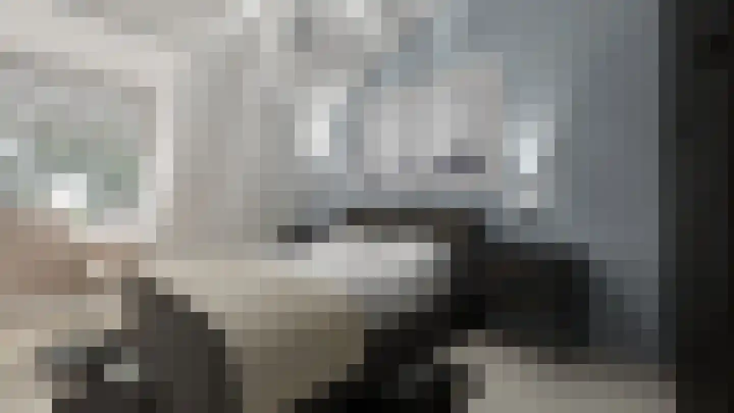 Kadedijk 78 e Fijnaart thumbnail 6