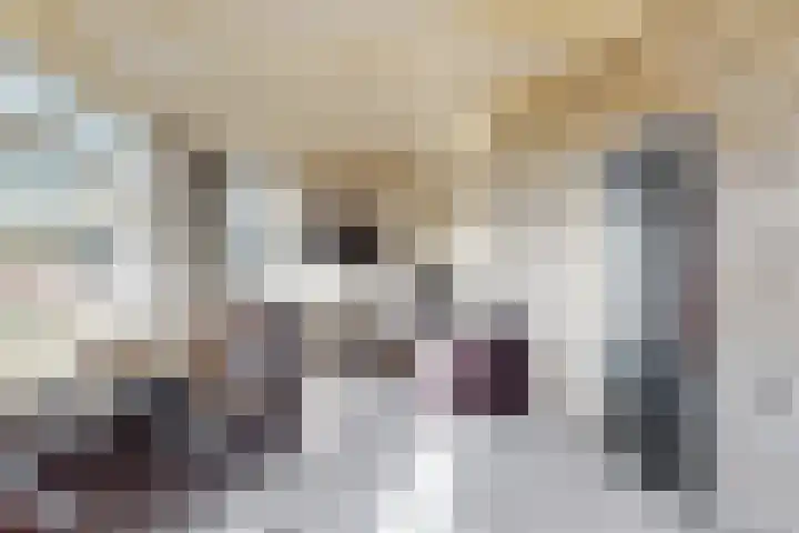 Kadedijk 83 Fijnaart thumbnail 11