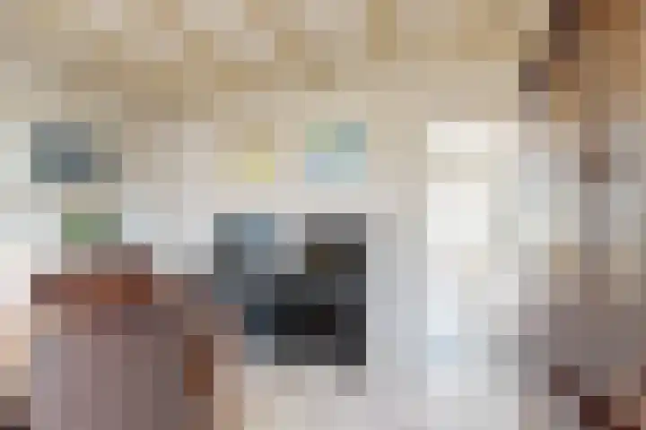 Kadedijk 83 Fijnaart thumbnail 22