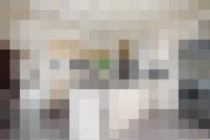 Kadedijk 83 Fijnaart thumbnail 26