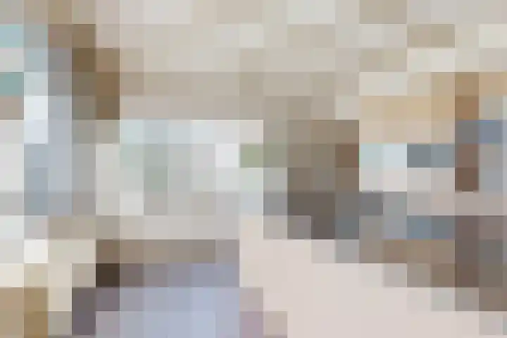 Kadedijk 83 Fijnaart thumbnail 27