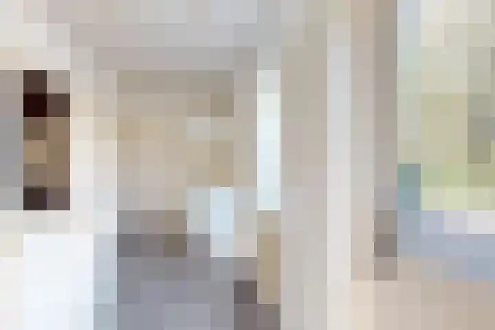 Kadedijk 83 Fijnaart thumbnail 29