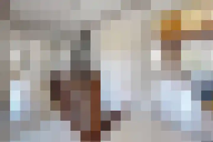Kadedijk 83 Fijnaart thumbnail 33