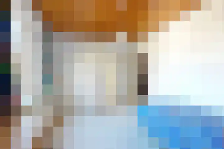 Kadedijk 83 Fijnaart thumbnail 45