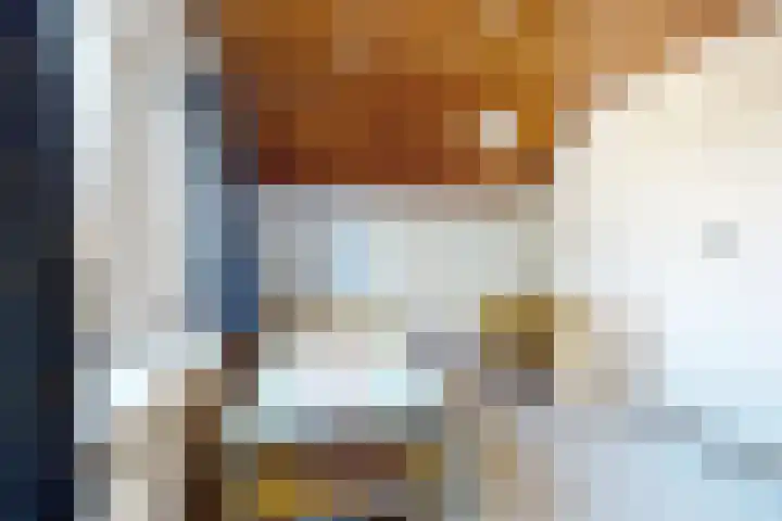Kadedijk 83 Fijnaart thumbnail 47