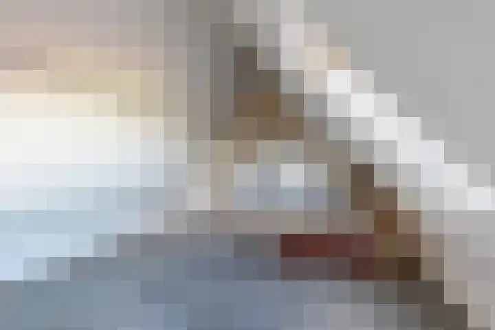 Kadedijk 83 Fijnaart thumbnail 54