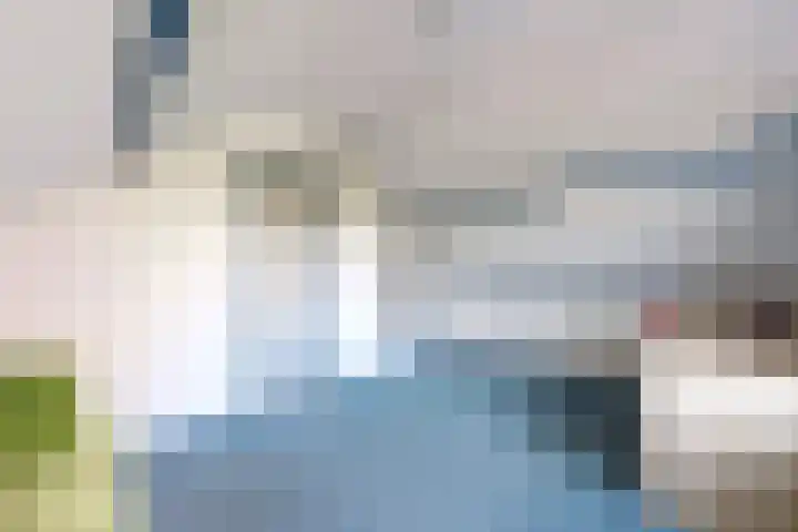 Kadedijk 83 Fijnaart thumbnail 60