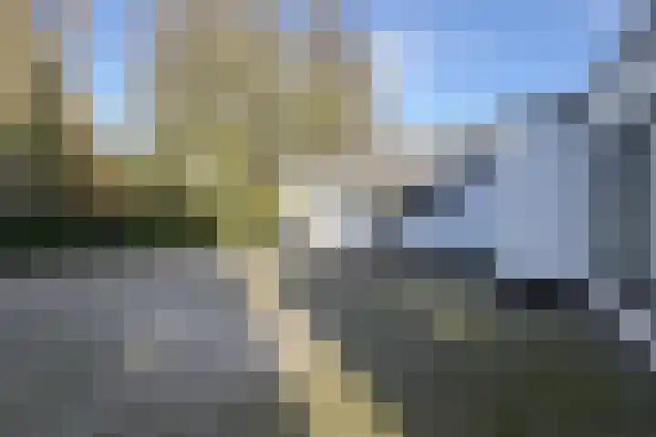 Kadedijk 83 Fijnaart thumbnail 61