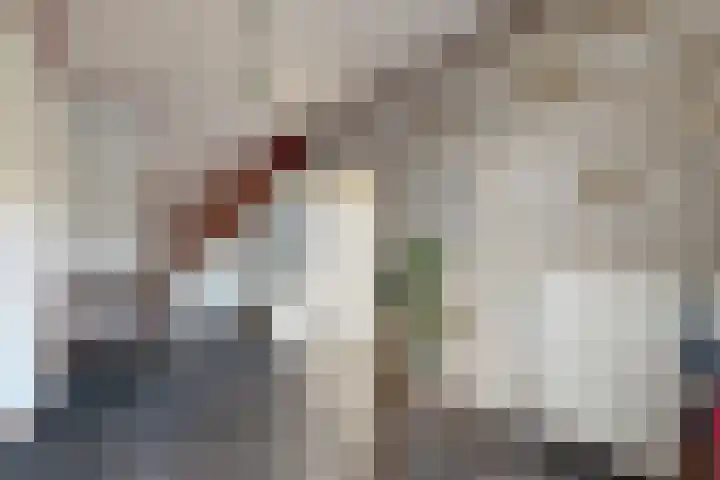 Kadedijk 83 Fijnaart thumbnail 7