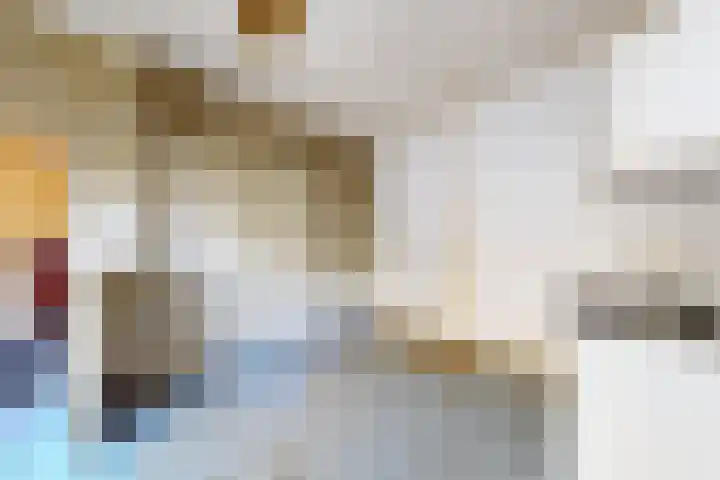 Kadedijk 83 Fijnaart thumbnail 71