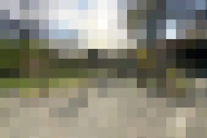 Kadedijk 83 Fijnaart thumbnail 73