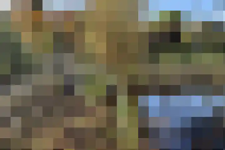 Kadedijk 83 Fijnaart thumbnail 74