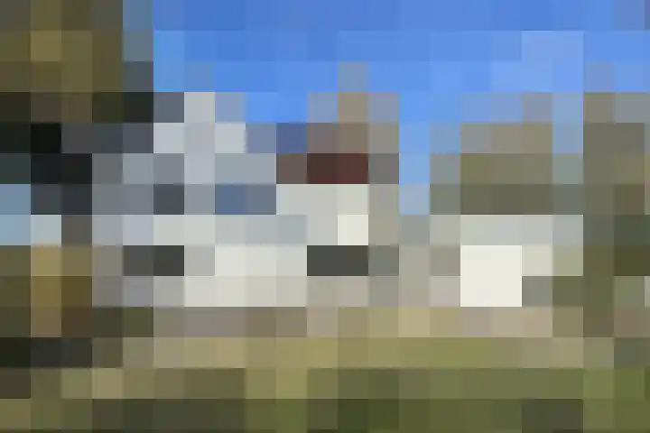 Kadedijk 83 Fijnaart thumbnail 75
