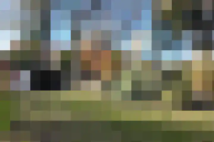 Kadedijk 83 Fijnaart thumbnail 77