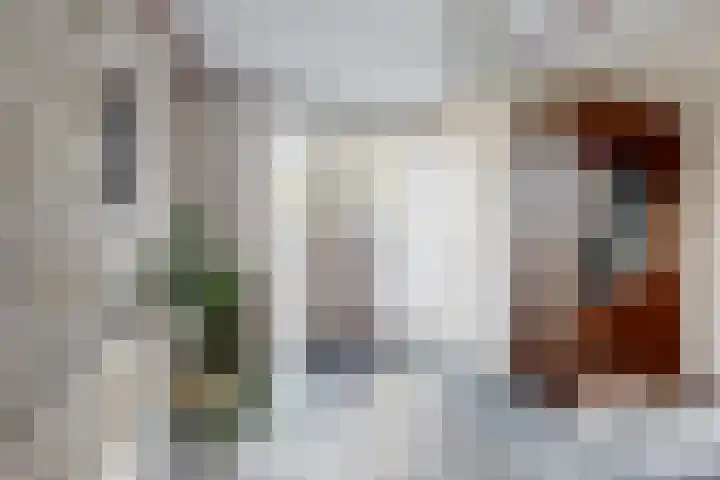 Kadedijk 83 Fijnaart thumbnail 8