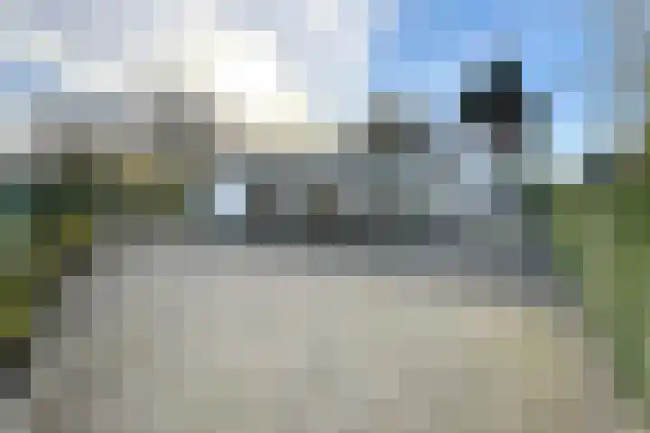 Kadedijk 83 Fijnaart thumbnail 81