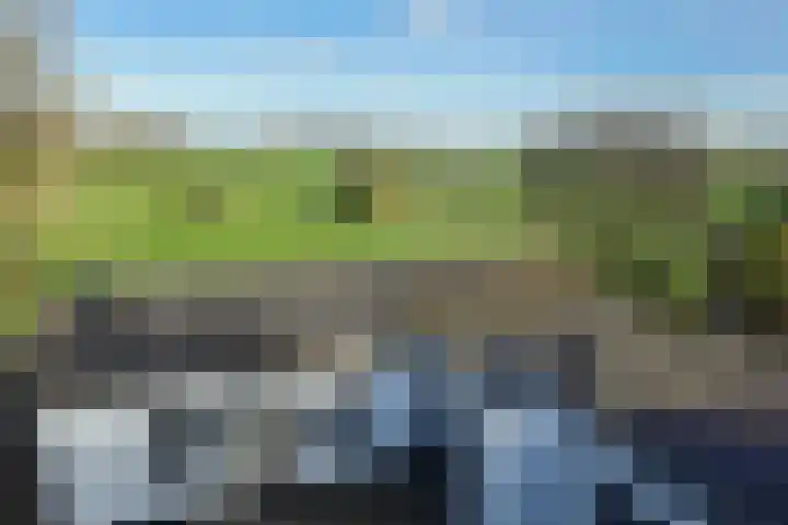 Kadedijk 83 Fijnaart thumbnail 82