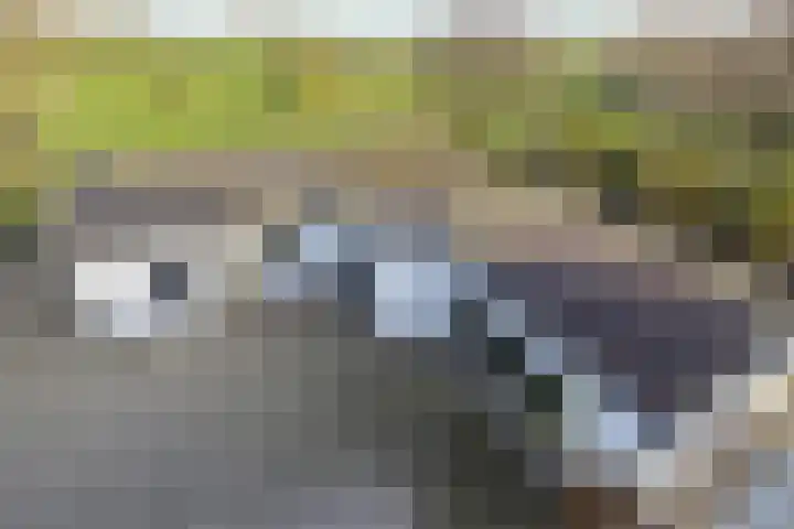 Kadedijk 83 Fijnaart thumbnail 83