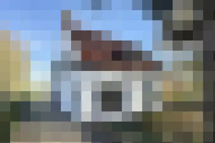 Kadedijk 83 Fijnaart thumbnail 84