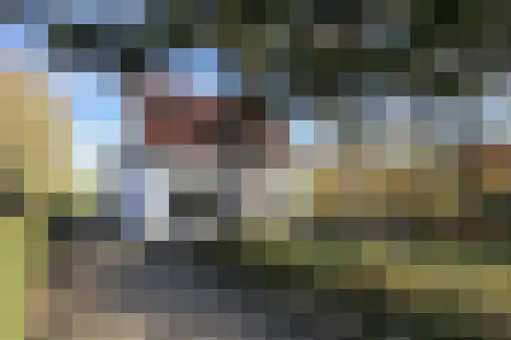 Kadedijk 83 Fijnaart thumbnail 85