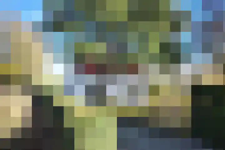 Kadedijk 83 Fijnaart thumbnail 86