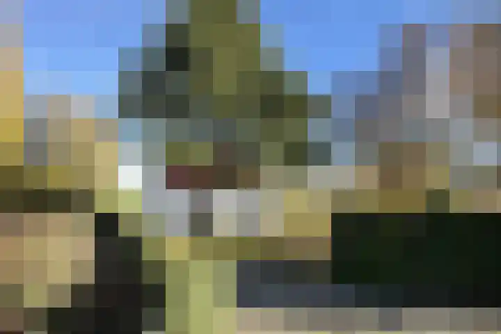 Kadedijk 83 Fijnaart thumbnail 88