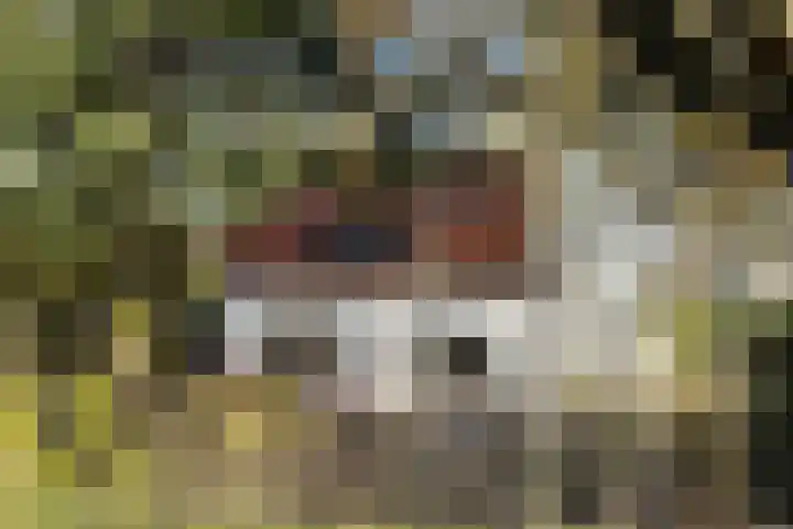 Kadedijk 83 Fijnaart thumbnail 89