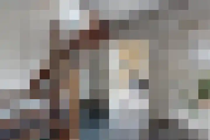 Kadedijk 83 Fijnaart thumbnail 9