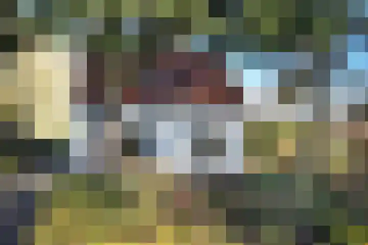 Kadedijk 83 Fijnaart thumbnail 90