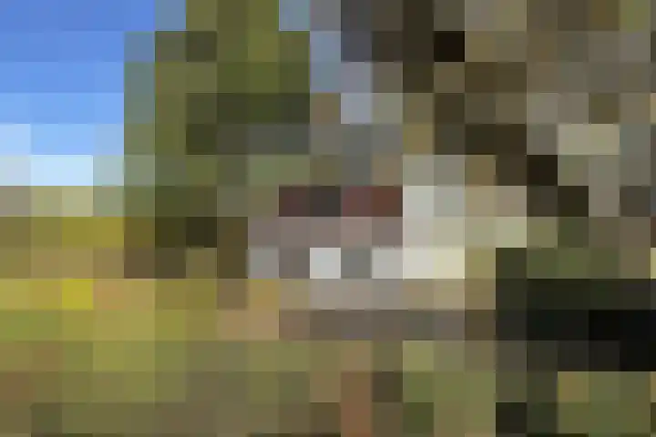 Kadedijk 83 Fijnaart thumbnail 92