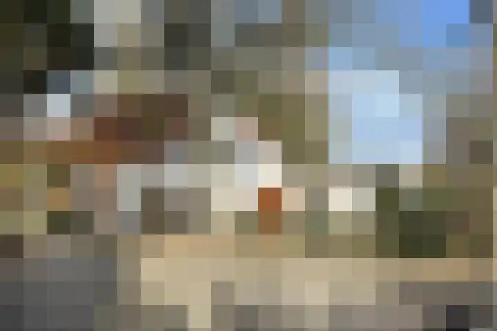 Kadedijk 83 Fijnaart thumbnail 93