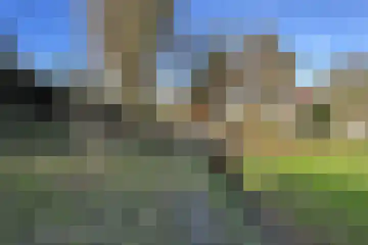 Kadedijk 83 Fijnaart thumbnail 94