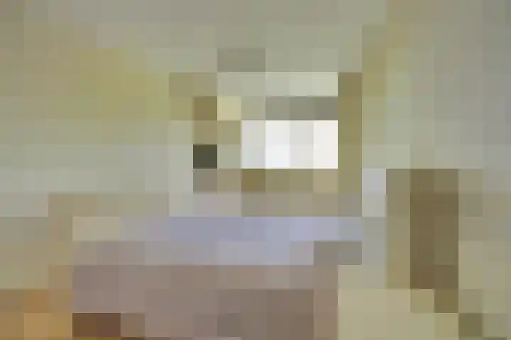 Kadedijk 86 Fijnaart thumbnail 13