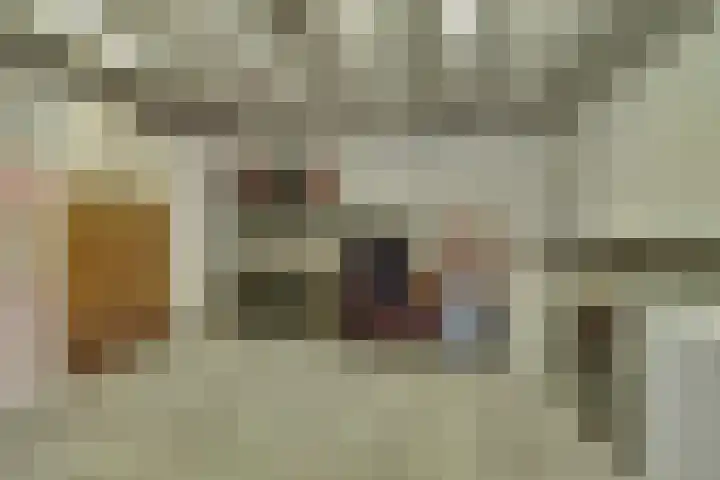 Kadedijk 86 Fijnaart thumbnail 23