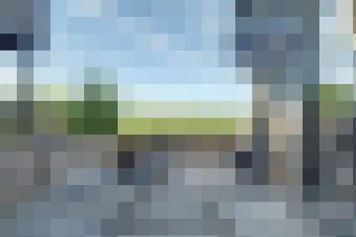Kadedijk 86 Fijnaart thumbnail 26
