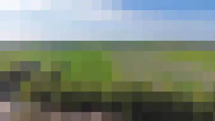 Kadedijk 86 Fijnaart thumbnail 30