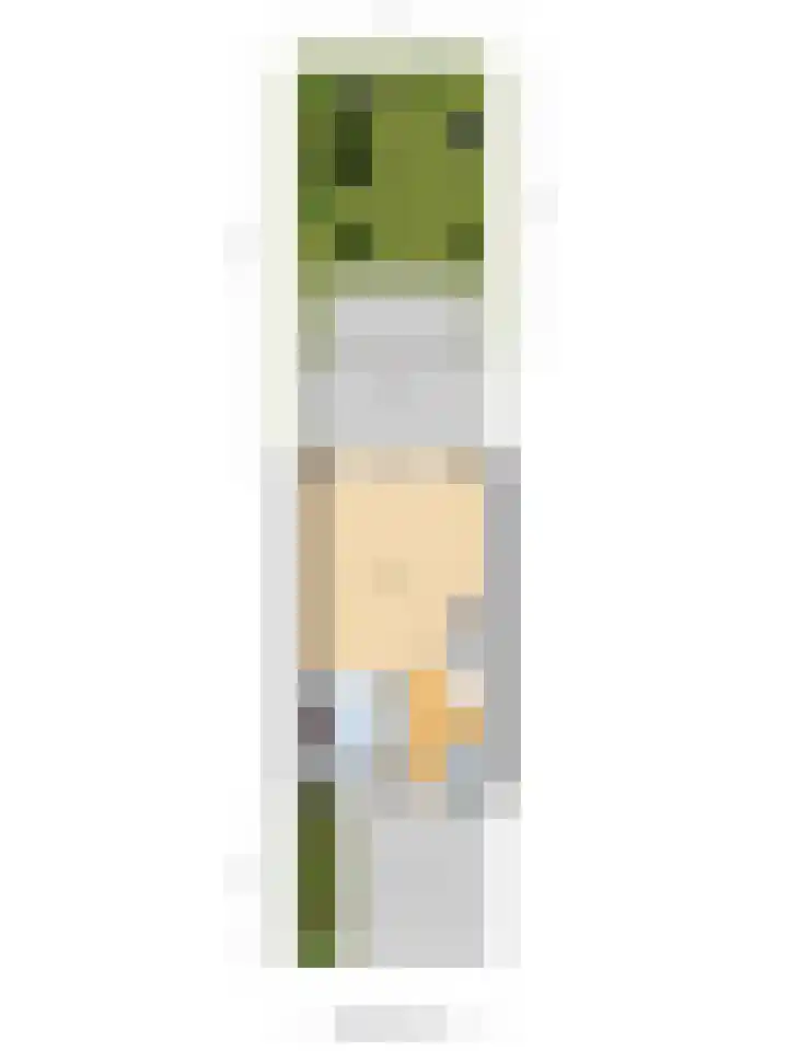 Kadedijk 86 Fijnaart thumbnail 40